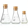 Glass Erlenmeyer Flask Set Young4us 3‑Size Borosilicate with Stoppers-0
